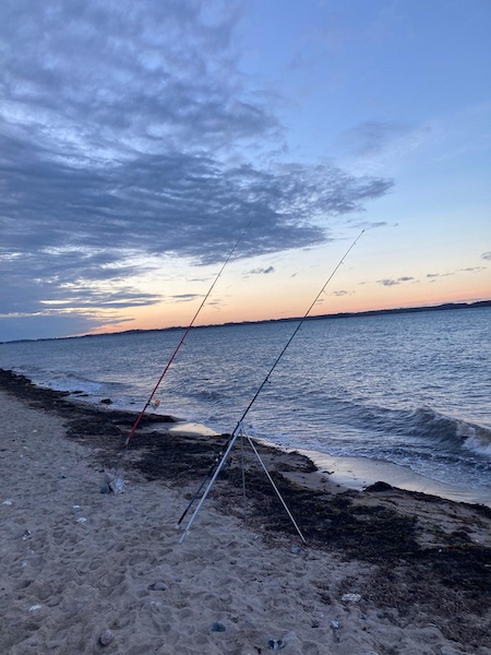 ffa2bc43 7f50 4b43 bf1b 18f9effebb67